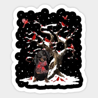 Black Dachshund Scarf Cardinal Snow Christmas Sticker